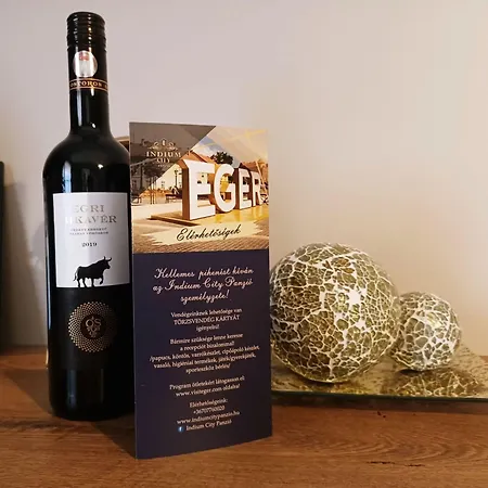 فندق مبيت وإفطار Indium Panzio إغير